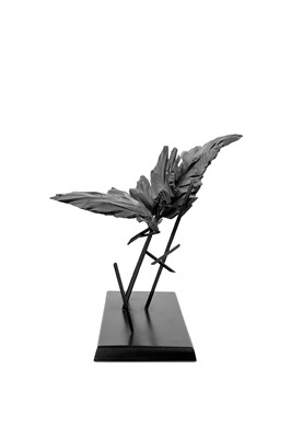 Lot 24 - Wim Botha (South Africa 1974-)