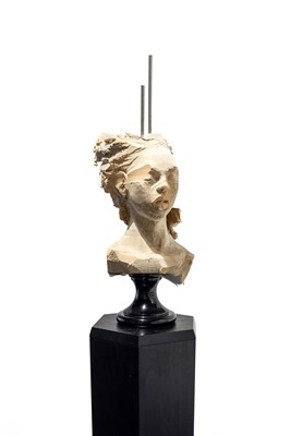 Lot 22 - Wim Botha (South Africa 1974-)