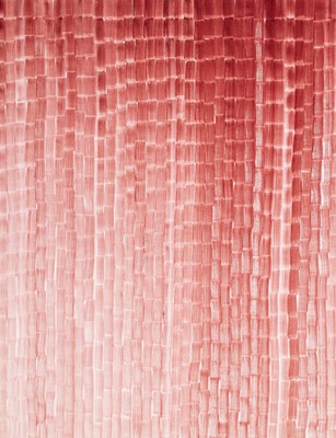 Lot 26 - Cathy Abraham (South Africa 1968-)