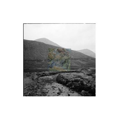 Lot 45 - Jess Holdengarde (South Africa 1991-)