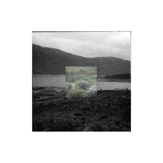 Lot 46 - Jess Holdengarde (South Africa 1991-)