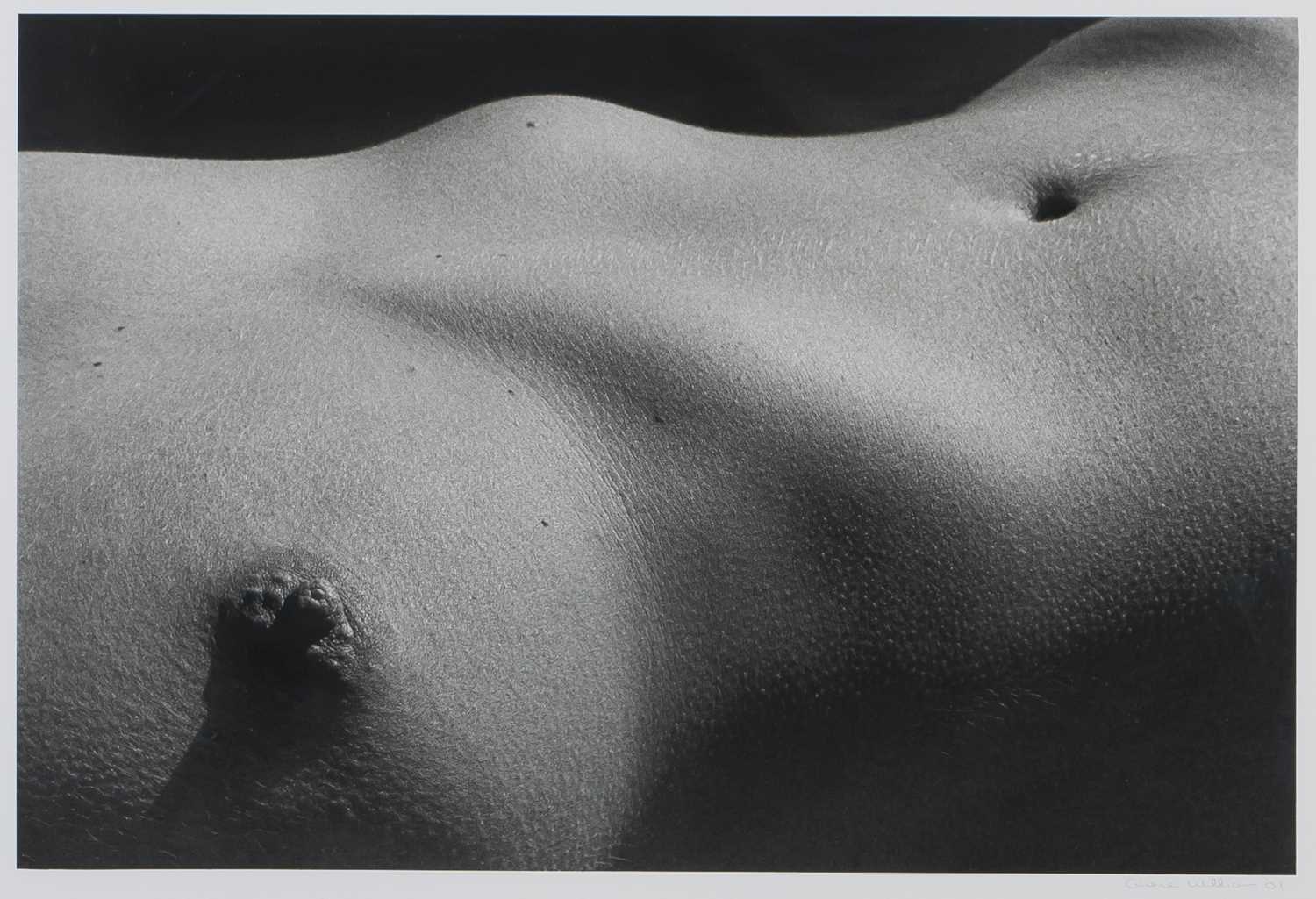 Lot 4 - Graeme  Williams (South Africa 1961-)
