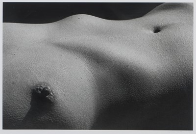 Lot 52 - Graeme Williams (South Africa 1961-)
