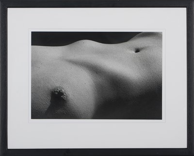 Lot 4 - Graeme  Williams (South Africa 1961-)