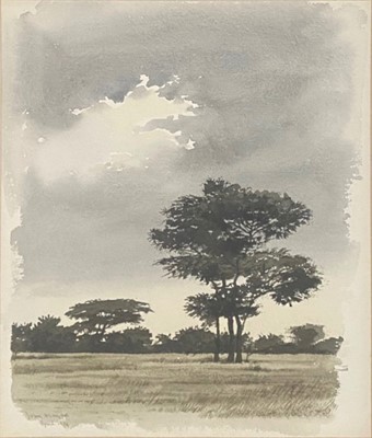 Lot 30 - John Meyer (South Africa 1942-)