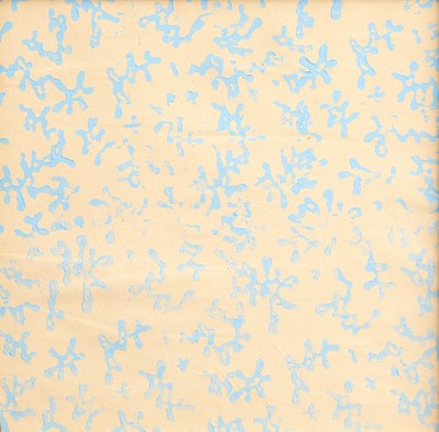Lot 42 - Meschac Gaba (Benin 1961-)