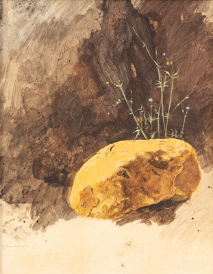 Lot 29 - John Meyer (South Africa 1942-)
