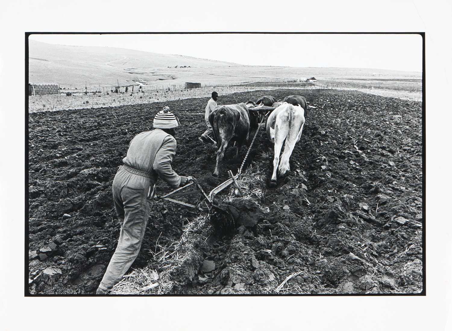 Lot 21 - Struan Robertson (South Africa 20th Century)