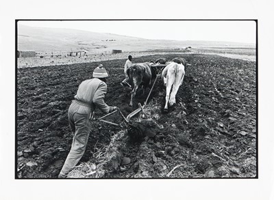 Lot 21 - Struan Robertson (South Africa 20th Century)