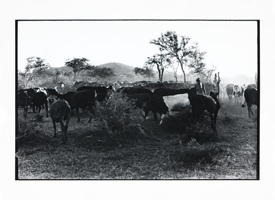 Lot 20 - Struan Robertson (South Africa 20th Century)