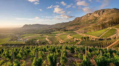 Lot 1 - The Constantia Wine Routes Experience for 30 Guests
