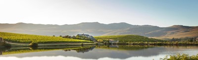 Lot 17 - Seven Wonders of the Western Cape by Creation