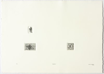 Lot 97 - Elrie Joubert (South Africa)