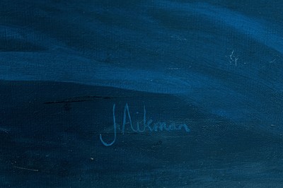 Lot 35 - Jake Aikman (South Africa 1978-)
