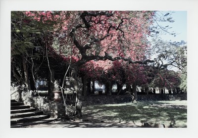 Lot 7 - Guy  Tillim (South Africa 1962-)