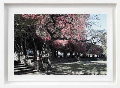 Lot 7 - Guy  Tillim (South Africa 1962-)