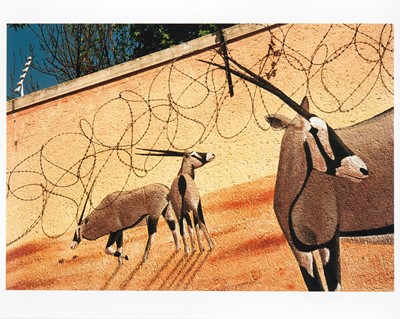 Lot 33 - Graeme  Williams (South Africa 1961-)