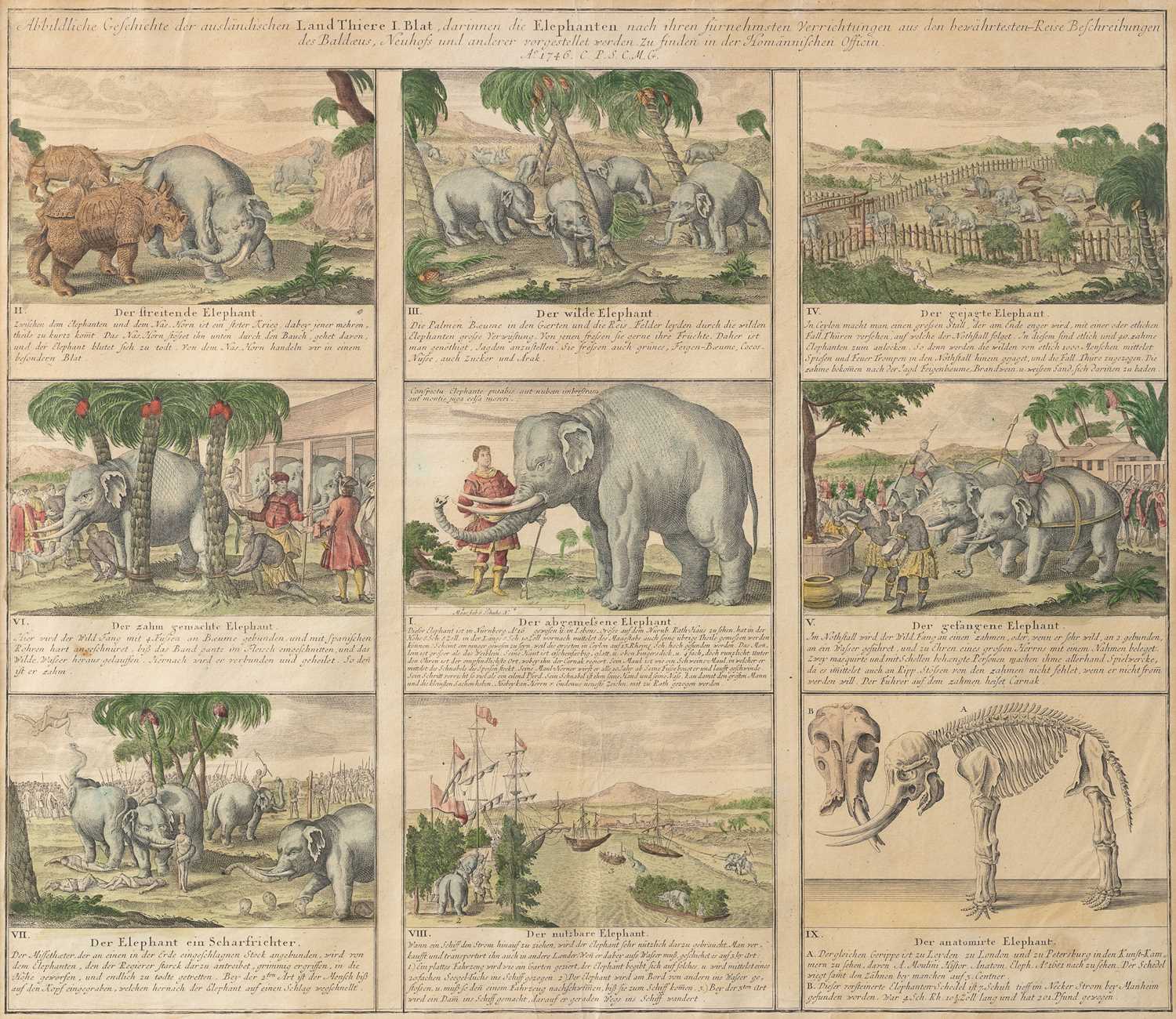 Lot 25 - Homann  Erben (Germany 1730-1848)