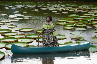 Lot 29 - Tamary Kudita (Zimbabwe 1994-)