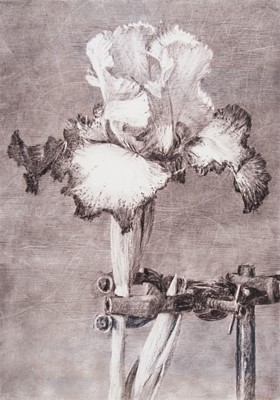Lot 25 - William Kentridge (South Africa 1955-)