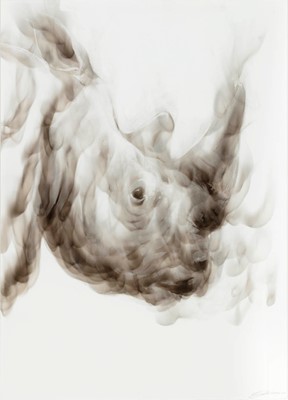 Lot 28 - Diane Victor (South Africa 1964-)