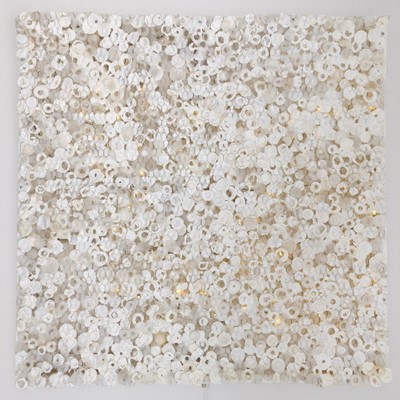 Lot 118 - Eve de Jong (South Africa 1966-)
