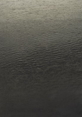 Lot 32 - Dan Halter (Zimbabwe 1977-)