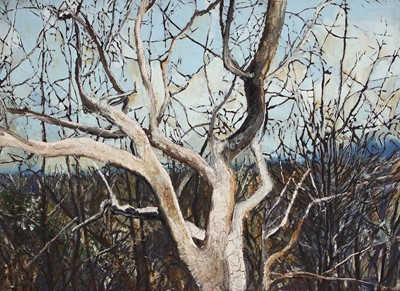 Lot 10 - Cobus van der Walt (South Africa 1965-)