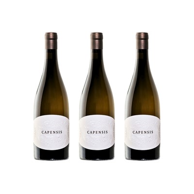 Lot 7 - Capensis
