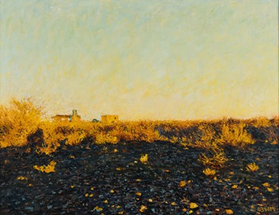 Lot 95 - Walter Meyer (South Africa 1965-2017)