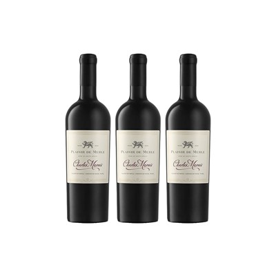 Lot 28 - Plaisir de Merle