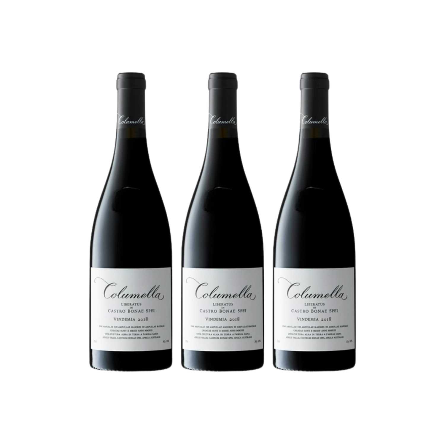Lot 47 - Sadie Family - Columella Heritage Vertical