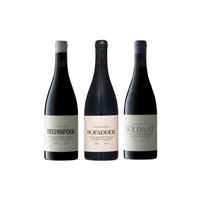 Lot 49 - Sadie Family - The Sadie Red Trilogy
