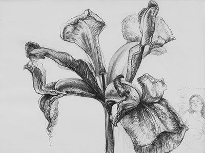 Lot 15 - Diane Victor (South Africa 1964-)