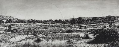 Lot 59 - Phillemon Hlungwani (South Africa 1975)