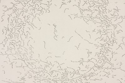 Lot 25 - Willem Boshoff (South Africa 1951-)