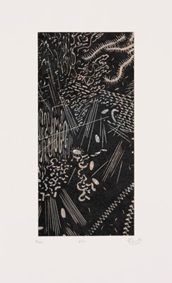 Lot 30 - Richard Penn (South Africa 1976-)