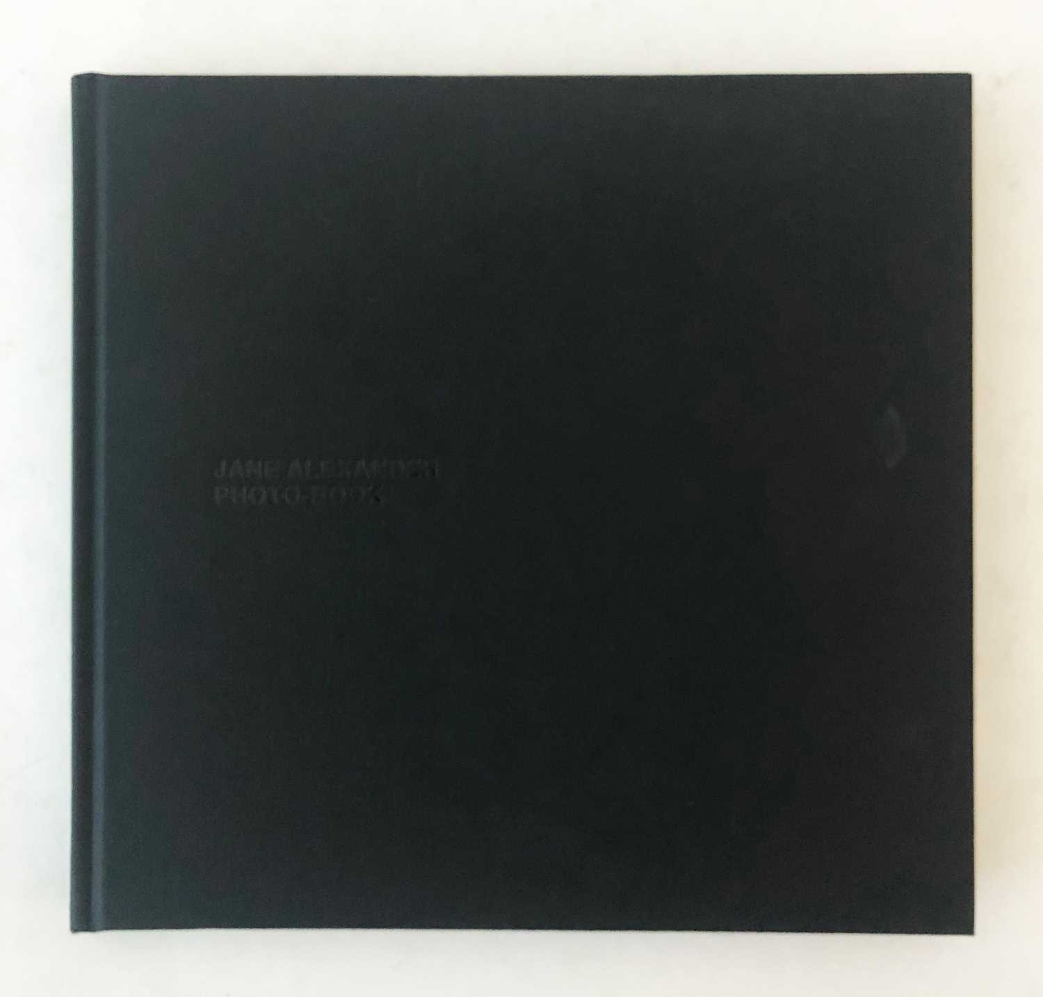 Lot 144 - Alexander, Jane. Jane Alexander - Survey: Cape of Good Hope