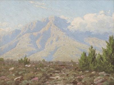 Lot 49 - Jan Ernst Abraham Volschenk (South Africa 1853-1936)