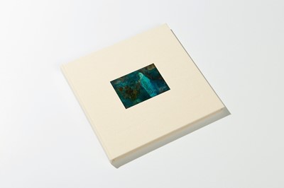 Lot 15 - Penny Siopis (South Africa 1953-)