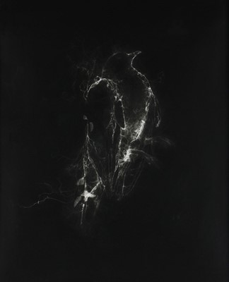 Lot 133 - Gerhard Marx (South Africa 1976-)