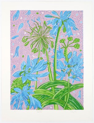 Lot 16 - Bronwyn Findlay (South Africa 1953-)