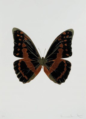 Lot 66 - Damien Hirst (United Kingdom 1965-)