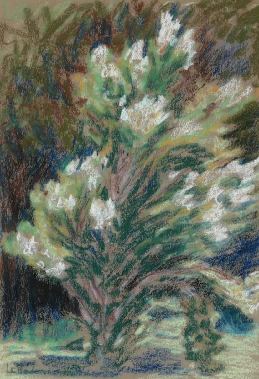 Lot 113 - Leonora Everard Haden (South Africa 1937-)