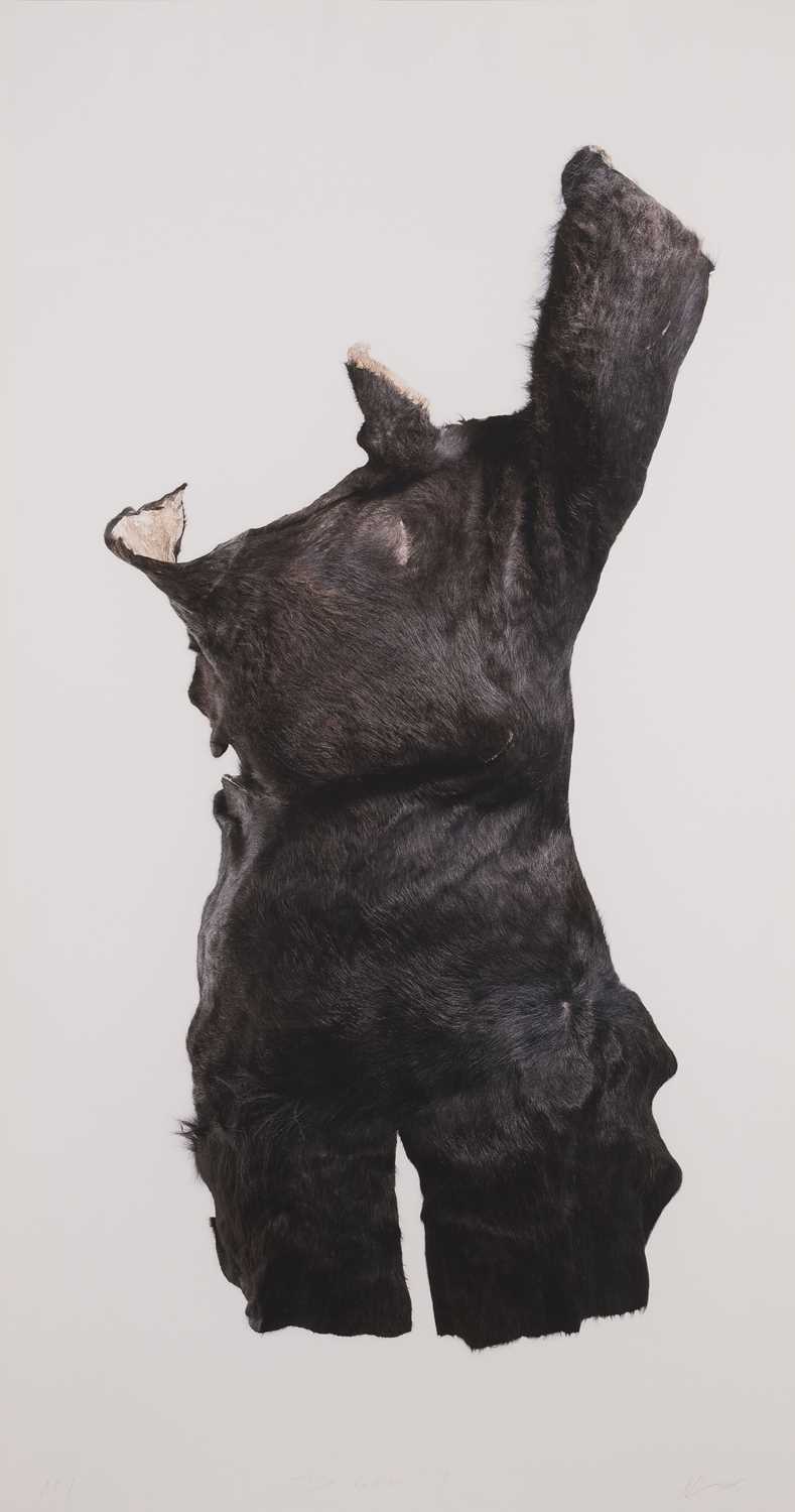 Lot 13 - Nandipha Mntambo (South Africa 1982-)