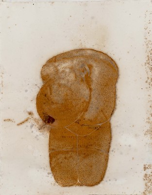Lot 64 - Nontobeko Ntombela (South Africa)