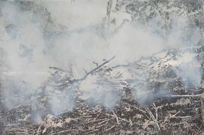 Lot 84 - Kim Berman, Smoke Screen I