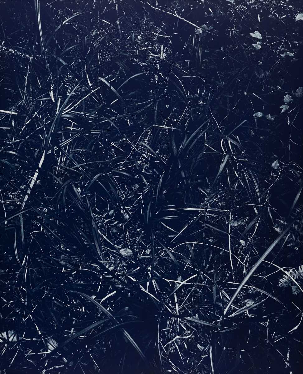 Lot 51 - Peter Eastman (United Kingdom 1976-)