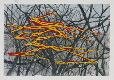 Lot 28 - Jan-Henri Booyens (South Africa 1980-)