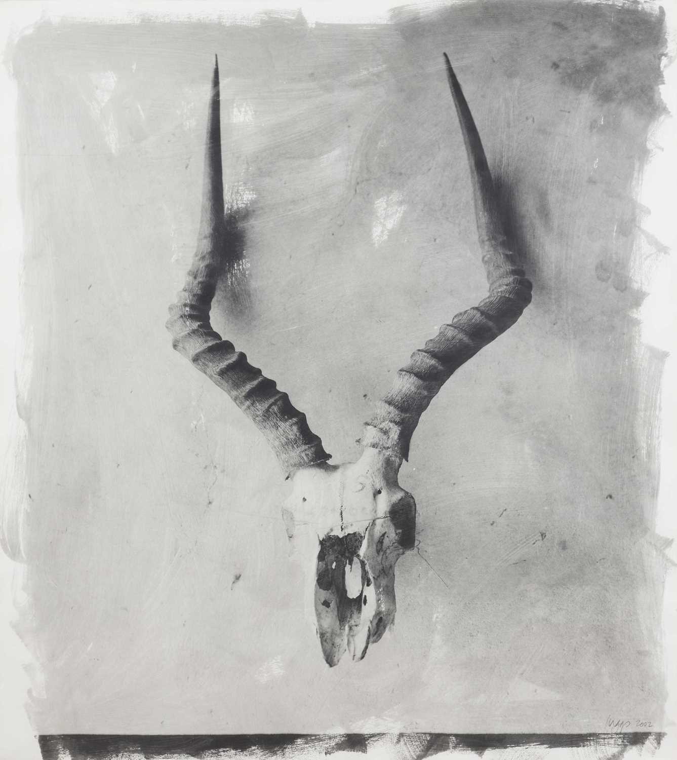 Lot 5 - Stephen Inggs (South Africa 1955-)